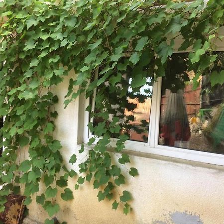 Hotel Casa Cu Curte Braşov Esterno foto