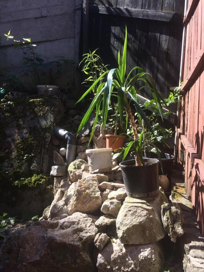 Hotel Casa Cu Curte Braşov Esterno foto